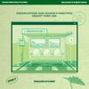 Dreamcatcher Dreamy farm Season's Greetings 2025