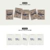 TXT Freefall Gravity versions details 4