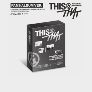 Stray Kids This & That cover (Fans vers.)